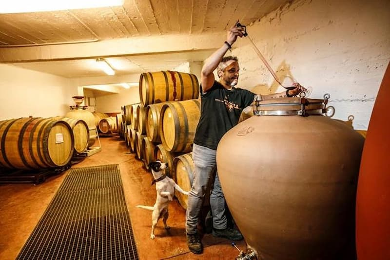 Weingut_Exeo_800x800