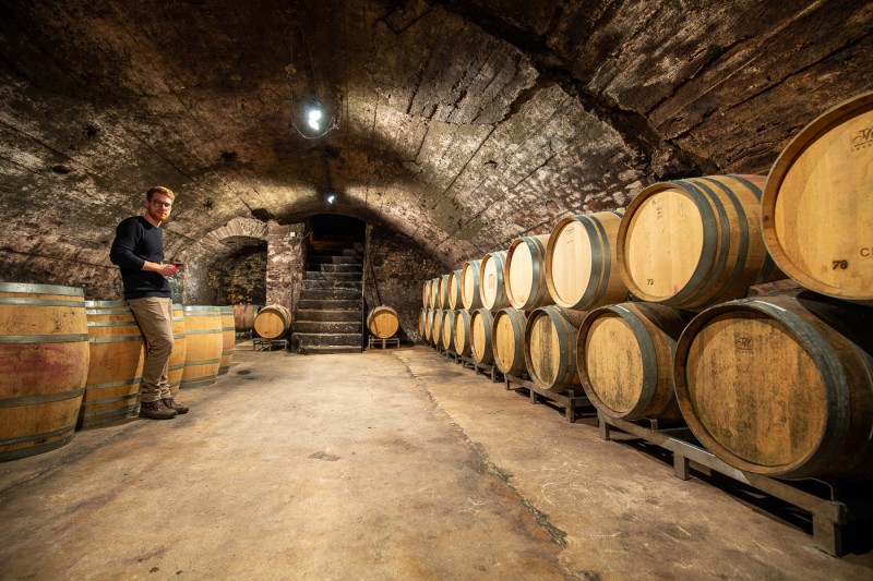 Weingut_Daniel_Fries_800x800