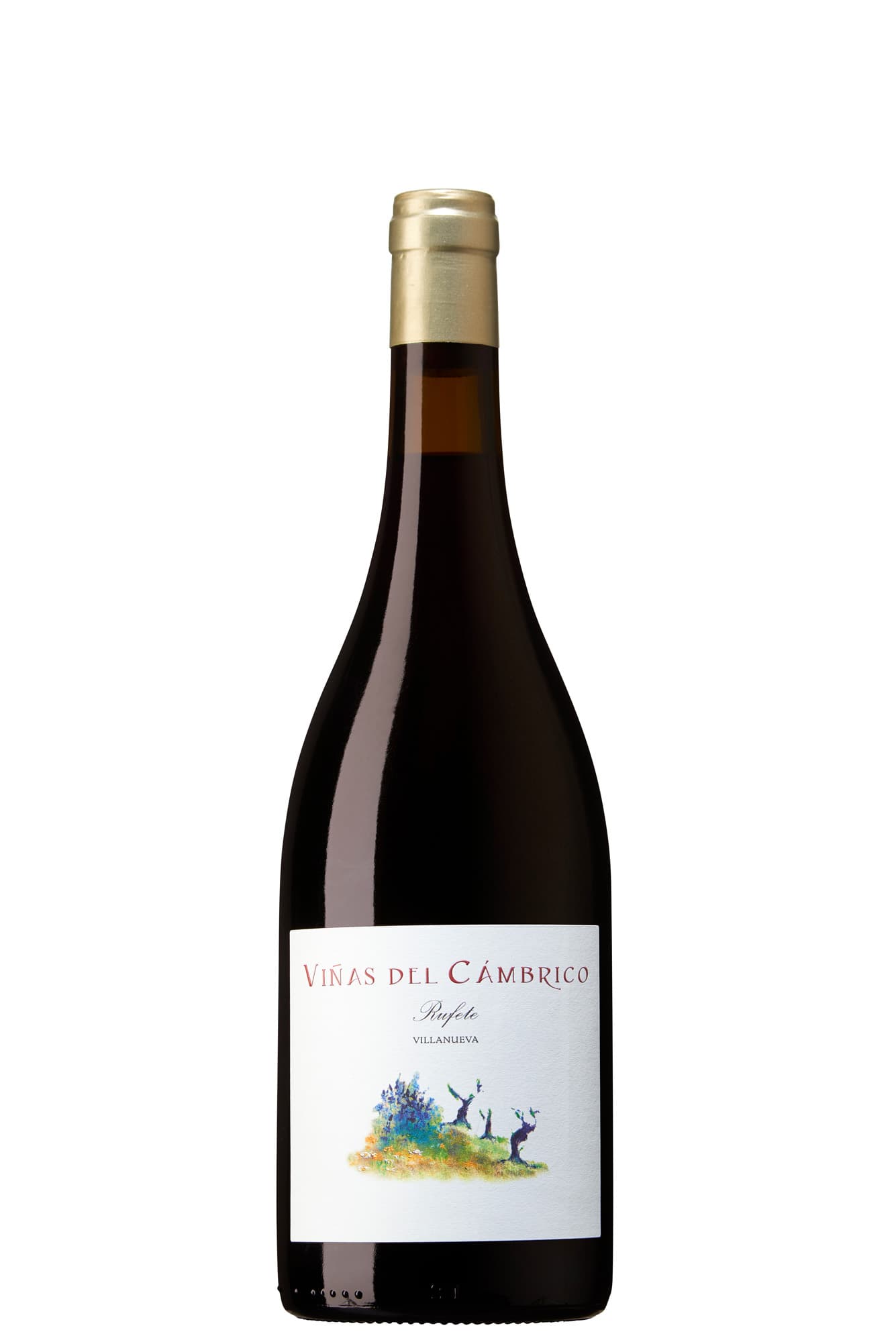 Viñas del Cámbrico, Villanueva 2020 Bio